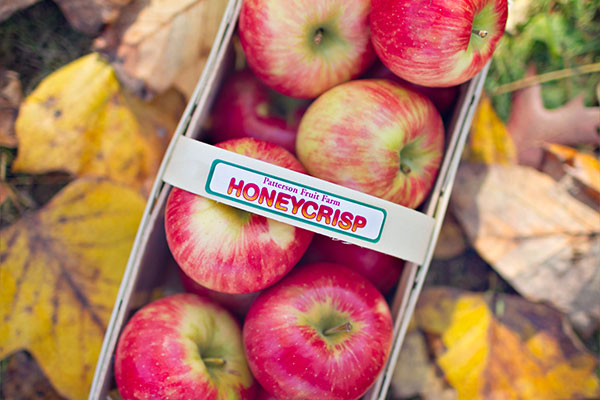 Farm Fresh Honeycrisp Apples